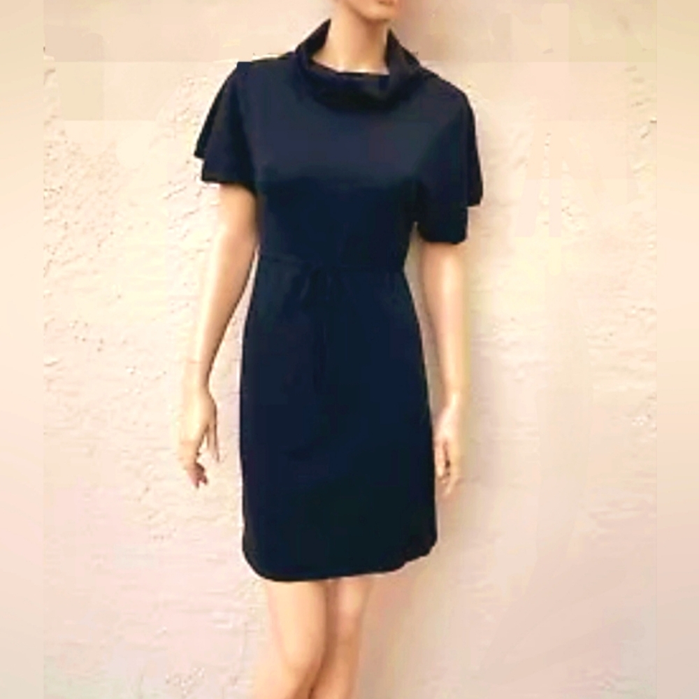 ( Theory ) Soft Merino Wool Cowl Neck Dress - Picture 1 of 8